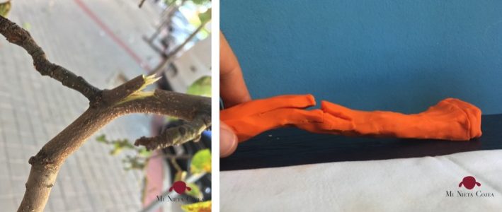 fractura-tallo-verde